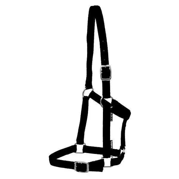 Academy Web Halter - Image 4