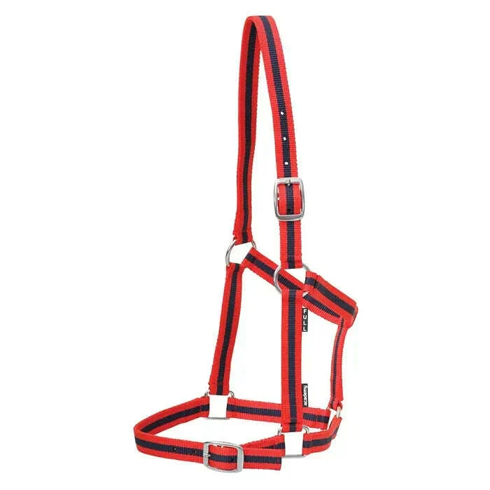 Academy Web Halter - Image 5