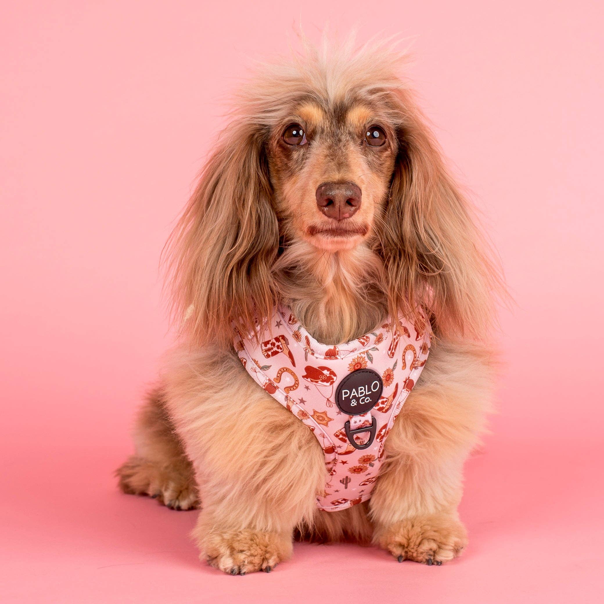 Howdy: Adjustable Harness - Image 4