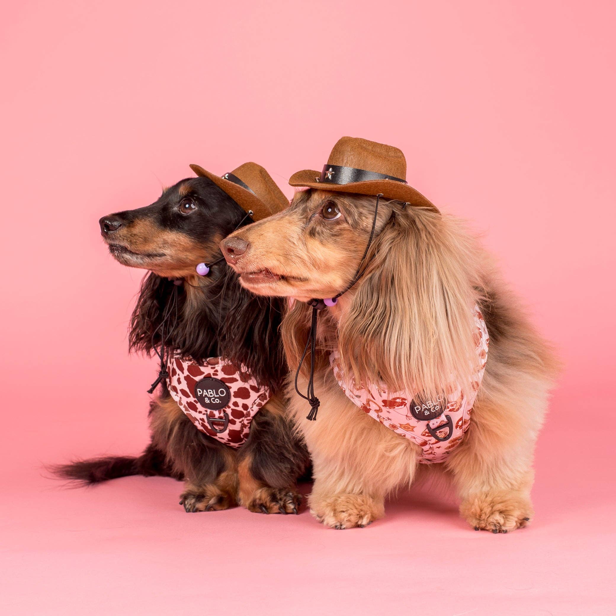 Howdy: Adjustable Harness - Image 6