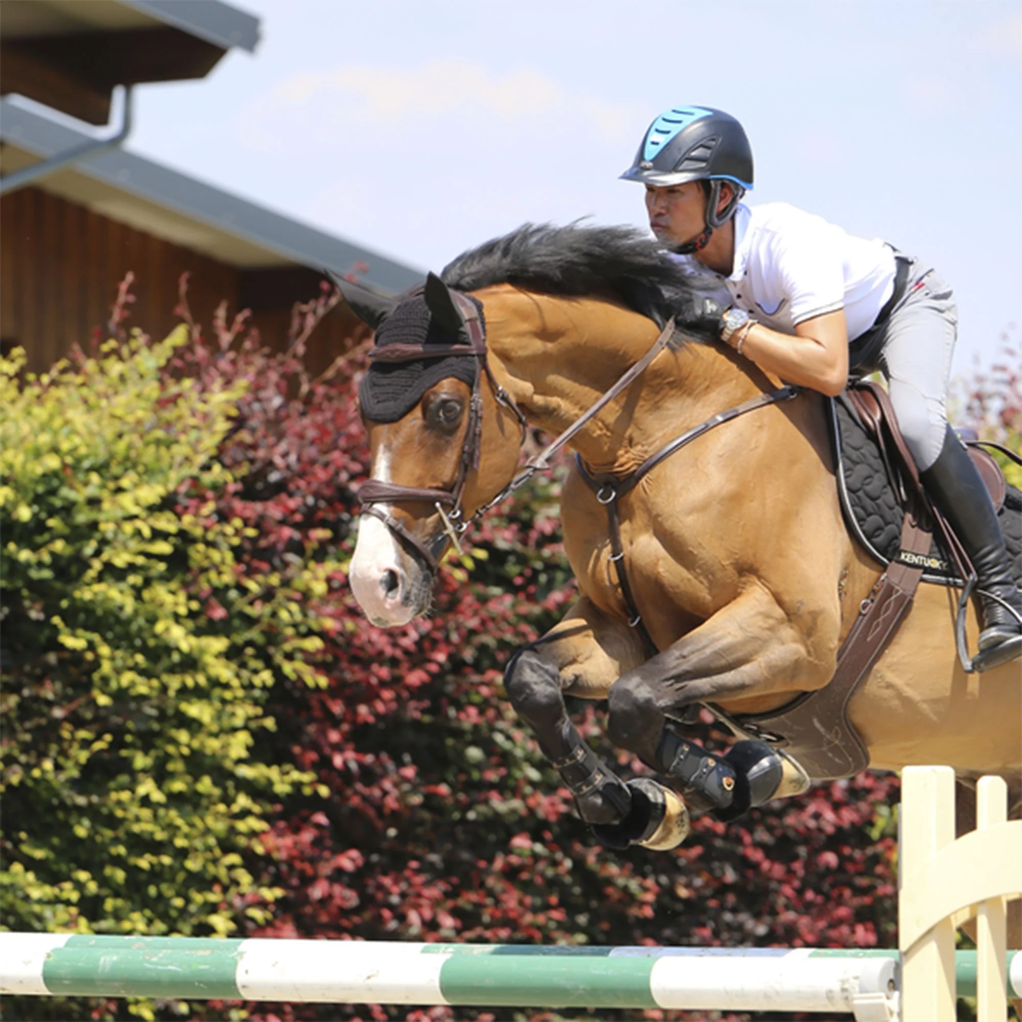 Kentucky Stud Girth - Image 4