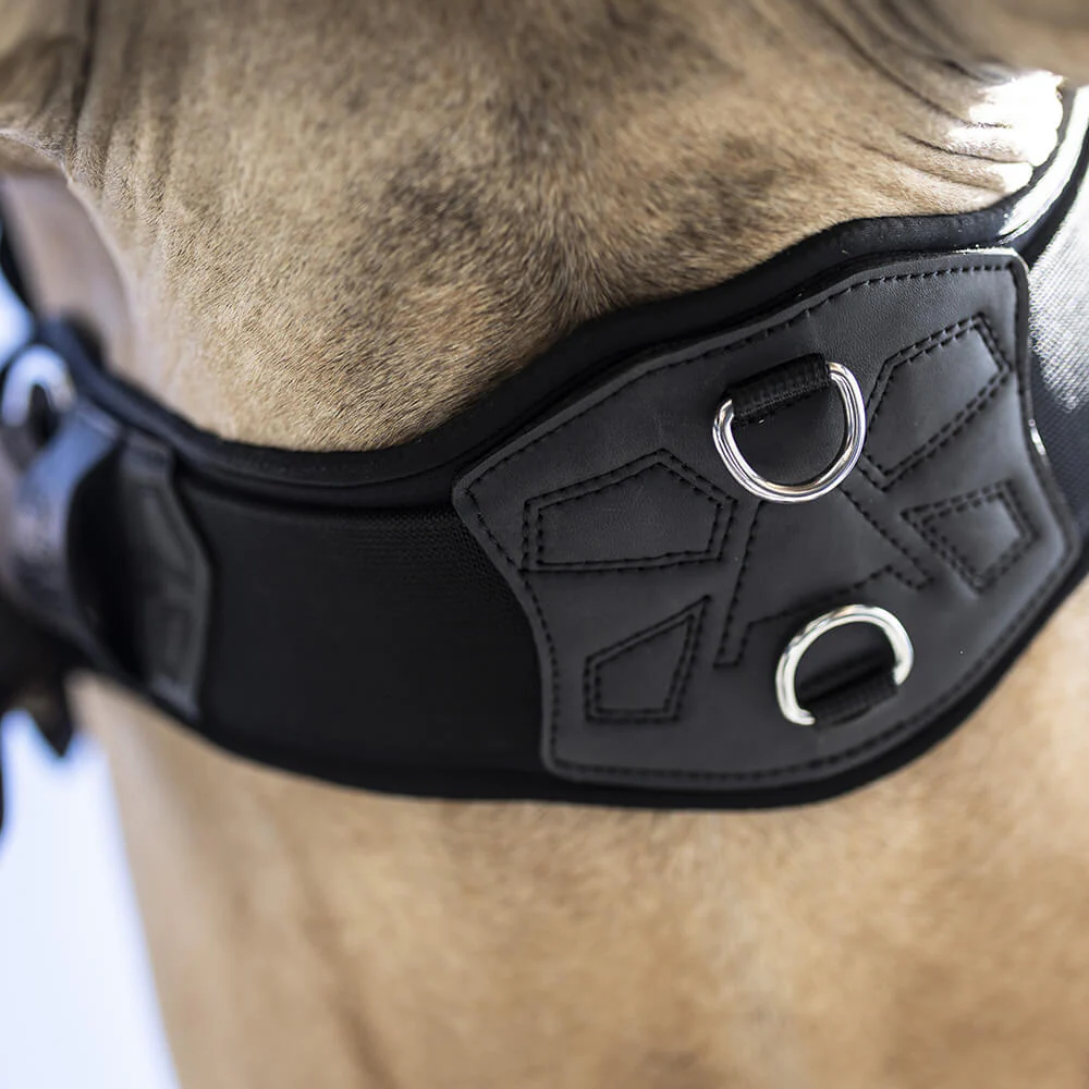 Lami-Cell V22 ProMotion Western Cinch Girth - Image 4