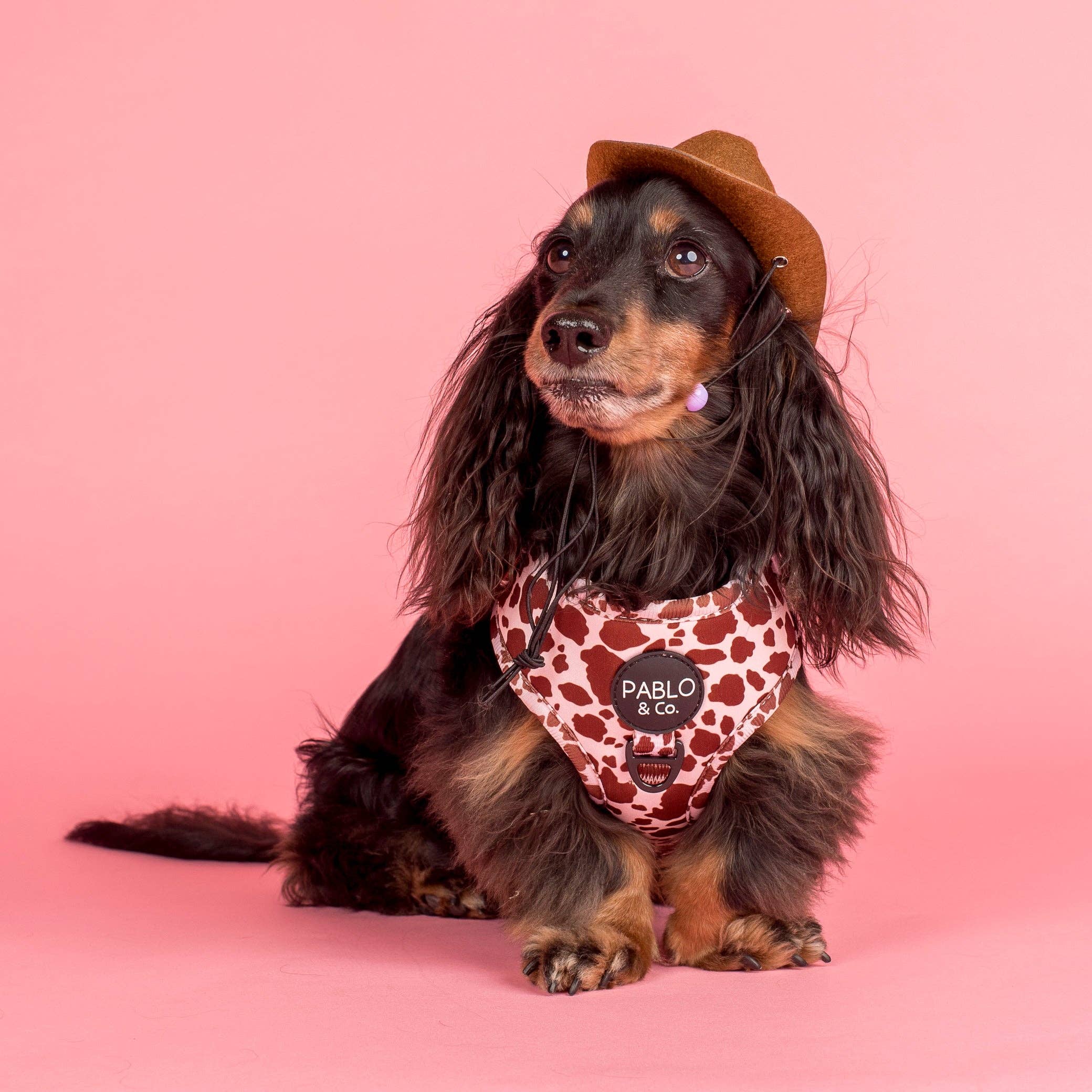 Rodeo: Adjustable Harness - Image 3