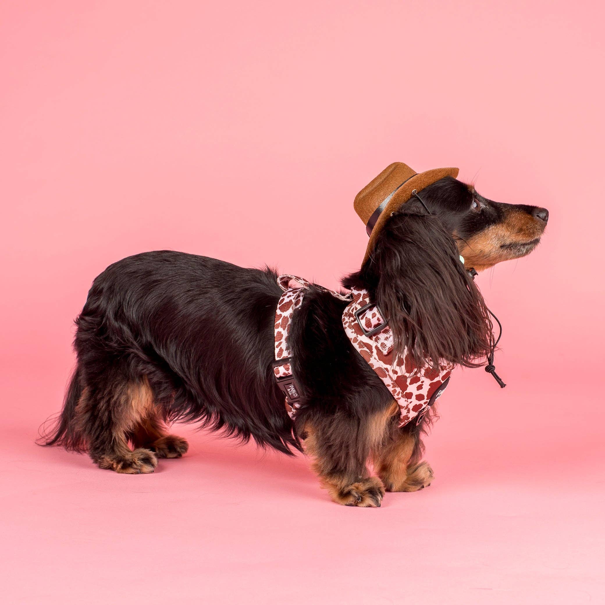 Rodeo: Adjustable Harness - Image 5