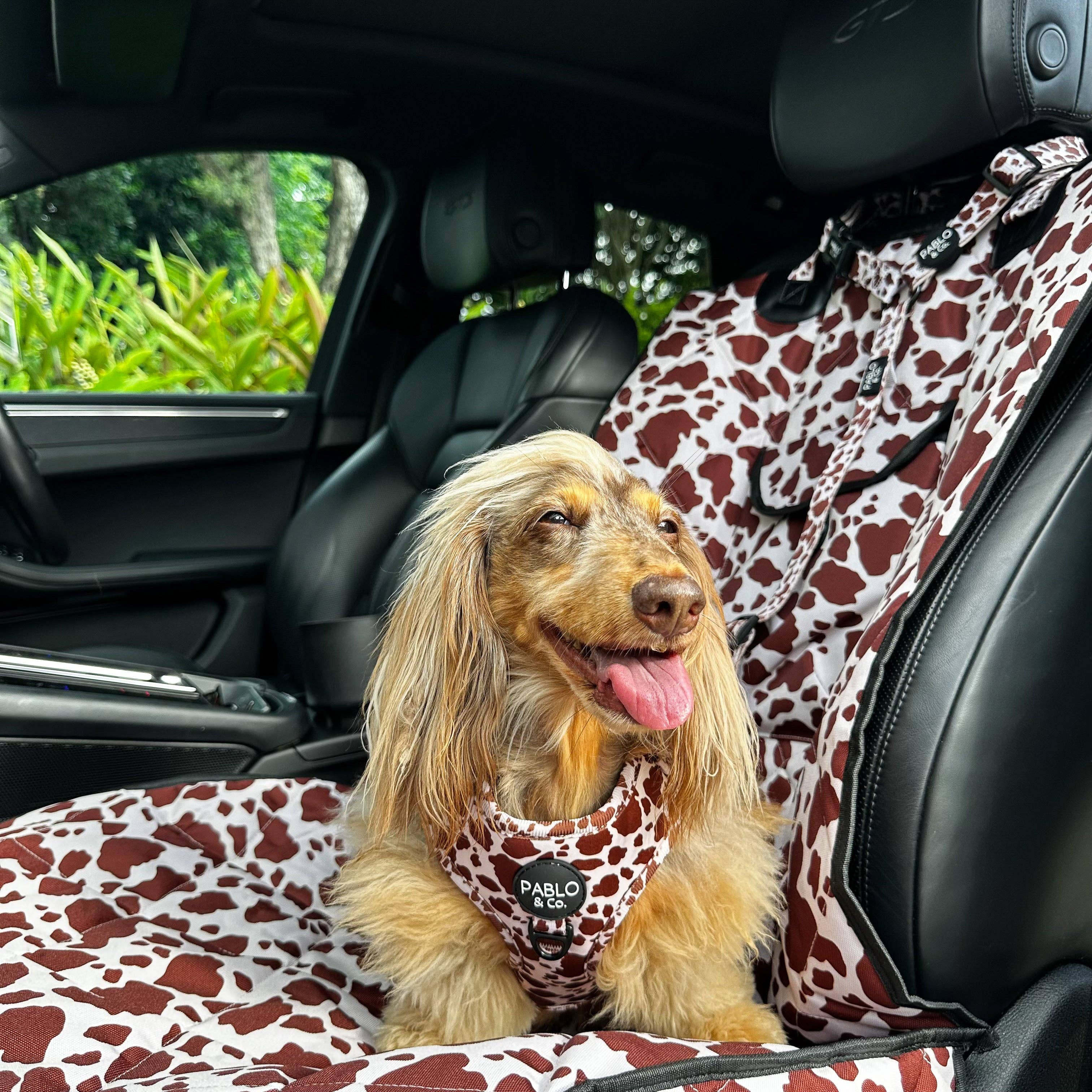 Rodeo: Deluxe Single Car Seat Cover - Image 3